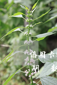 信用卡逾期還能發(fā)工資么(信用卡逾期對新工作辦理工資卡有影響嗎)