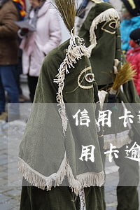 信用卡逾期還能網(wǎng)上借錢嗎(信用卡逾期還能網(wǎng)上借錢嗎)