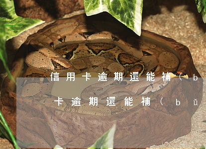 信用卡逾期還能補(bǔ)辦銀行卡嗎(信用卡逾期還能補(bǔ)辦銀行卡嗎怎么辦)
