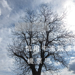 信用卡逾期還能訂機票嗎(信用卡逾期還能訂機票嗎)