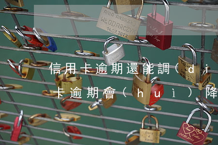 信用卡逾期還能調(diào)額度嗎(信用卡逾期會(huì)降低額度嗎)
