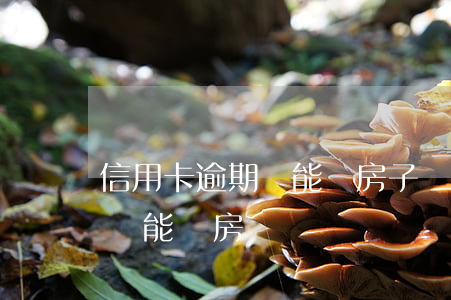 信用卡逾期還能買房子嗎(信用卡逾期了以后還能買房嗎)