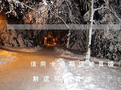 信用卡逾期還能買機(jī)票么(信用卡逾期還可以買機(jī)票嗎)