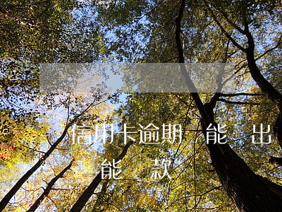 信用卡逾期還能貸出來的小貸 銀行卡逾期了還能貸款嗎