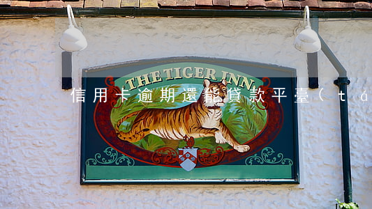 信用卡逾期還能貸款平臺(tái)