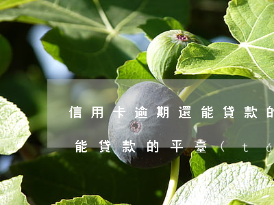 信用卡逾期還能貸款的app(信用卡逾期還能貸款的平臺(tái))