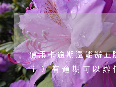 信用卡逾期還能辦五險一金嗎(五年內(nèi)有逾期可以辦信用卡嗎)