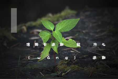 信用卡逾期還能辦什么網(wǎng)貸(網(wǎng)貸逾期還完可以辦信用卡嗎)