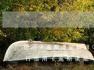 信用卡逾期還能辦儲(chǔ)蓄卡嗎(在銀行信用卡逾期,還能不能辦理儲(chǔ)蓄卡)