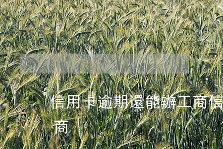 信用卡逾期還能辦工商（信用卡逾期還能辦工商）