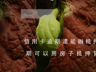 信用卡逾期還能辦抵押貸嗎(本人有信用卡逾期可以用房子抵押貸款嗎)