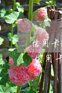 信用卡逾期還能辦理etc嗎(etc綁定的信用卡逾期了還能用嗎)