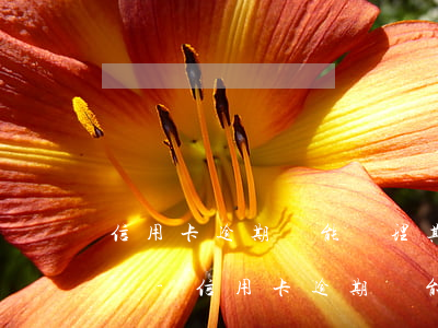 信用卡逾期還能辦理其它儲(chǔ)蓄卡嗎-信用卡逾期還能辦理其它儲(chǔ)蓄卡嗎