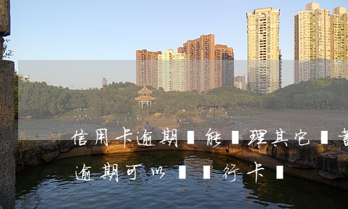 信用卡逾期還能辦理其它儲蓄卡嗎(有信用卡逾期可以辦銀行卡嗎)