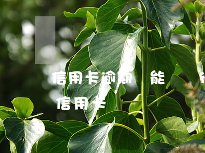 信用卡逾期還能辦銀行卡嗎(逾期了還可以辦信用卡)