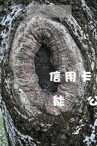 信用卡逾期還能進公司上班嗎(信用卡逾期還能進公司上班嗎)