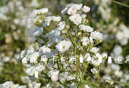 信用卡逾期還能開嗎(逾期過還能辦理信用卡嗎)