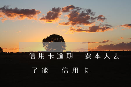 信用卡逾期還要本人去銀行嗎(銀行逾期還清了能辦信用卡嗎)