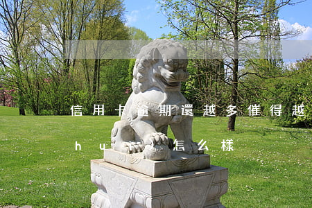 信用卡逾期還越多催得越兇(信用卡逾期會(huì)怎么樣)
