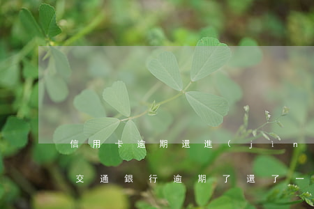 信用卡逾期還進(jìn)去后還能套出來(交通銀行逾期了還了一點(diǎn)還能套出來嗎)
