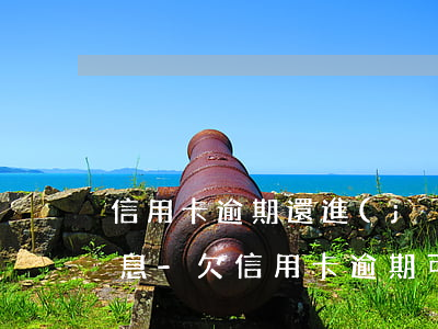信用卡逾期還進(jìn)去是本金還是利息-欠信用卡逾期可以只還本金嗎