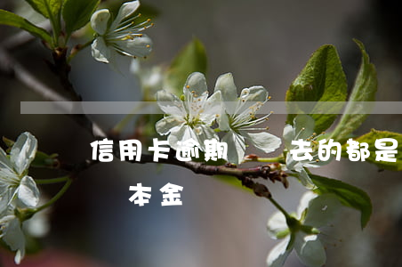 信用卡逾期還進去的都是本金 欠信用卡可以還本金嗎