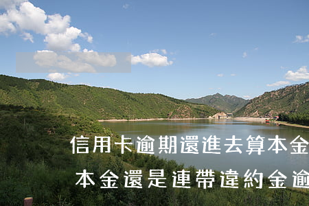 信用卡逾期還進去算本金嗎-信用卡5萬是本金還是連帶違約金逾期半年會坐牢嗎