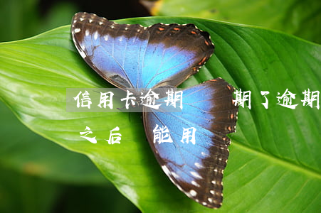 信用卡逾期還過期了 逾期很久的信用卡還清之后還能用嗎