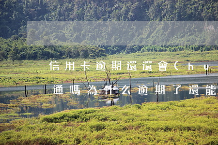 信用卡逾期還還會(huì)開(kāi)通嗎(為什么逾期了還能辦信用卡)