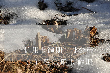 信用卡逾期還部分算詐騙嗎(因被騙導(dǎo)致信用卡逾期)