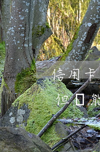 信用卡逾期還部分銷卡(信用卡逾期被核銷了,但還能還款進(jìn)去)