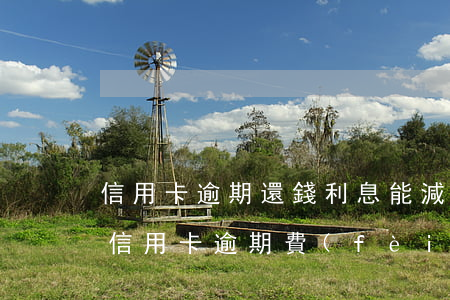 信用卡逾期還錢利息能減免嗎-怎樣和銀行信用卡逾期費(fèi)用減免