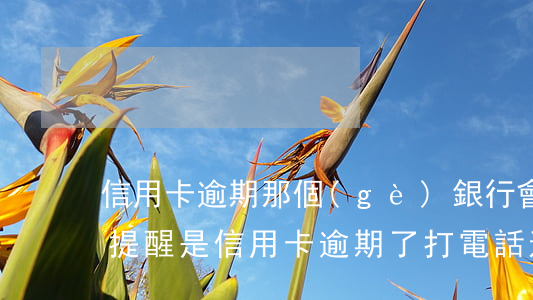 信用卡逾期那個(gè)銀行會(huì)提醒(是信用卡逾期了 打電話通知提醒他們的)