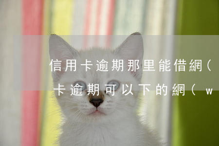 信用卡逾期那里能借網(wǎng)貸(信用卡逾期可以下的網(wǎng)貸)