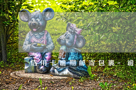 信用卡逾期邮寄包裹-逾期邮政寄快递