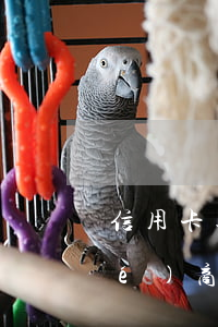 信用卡逾期部門(逾期很久的信用卡協(xié)商)