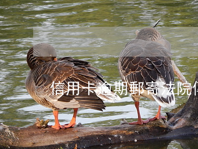 信用卡逾期郵寄法院傳票