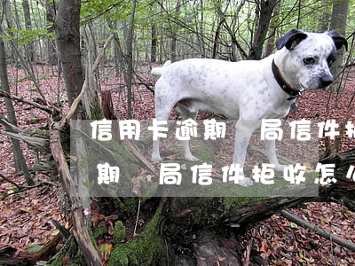 信用卡逾期郵局信件拒收怎么處理(信用卡逾期郵局信件拒收怎么處理流程)