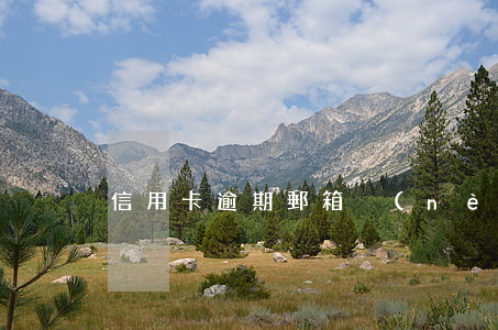 信用卡逾期郵箱內(nèi)容(信用卡逾期)