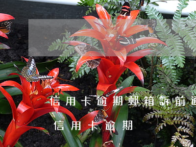 信用卡逾期郵箱訴前通告函(銀行通知居委會信用卡逾期)