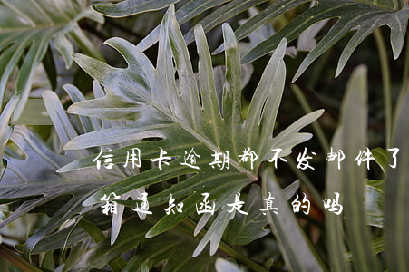 信用卡逾期都不发邮件了(信用卡逾期发的邮箱通知函是真的吗)