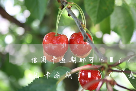 信用卡逾期都可以協(xié)商還款嗎(信用卡逾期了銀行不同意協(xié)商還款怎么辦)