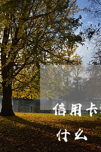 信用卡逾期都怕什么-今年的信用卡逾期有什么處理