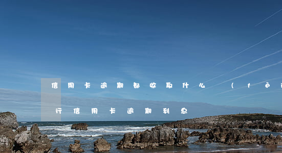 信用卡逾期都收取什么費(fèi)用(各銀行信用卡逾期利息)