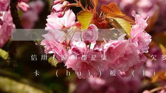 信用卡逾期都是集體訴訟嗎(欠多家銀行信用卡會(huì)被聯(lián)合起訴嗎)