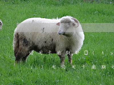 信用卡逾期都會(huì)收什么費(fèi)用(信用卡逾期之后的費(fèi)用怎么收)
