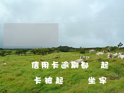 信用卡逾期都會起訴會坐牢嗎-欠銀行信用卡被起訴會坐牢嗎