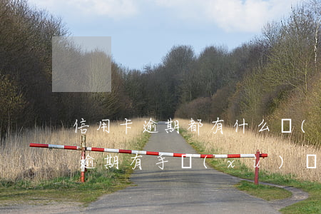 信用卡逾期都有什么費(fèi)用(信用卡逾期有手續(xù)費(fèi)嗎)