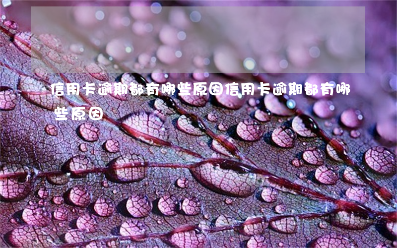 信用卡逾期都有哪些原因(信用卡逾期都有哪些原因)