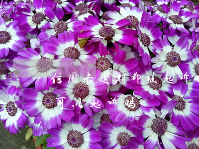 信用卡逾期都被起诉吗(朋友用信用卡逾期,我可以起诉吗)